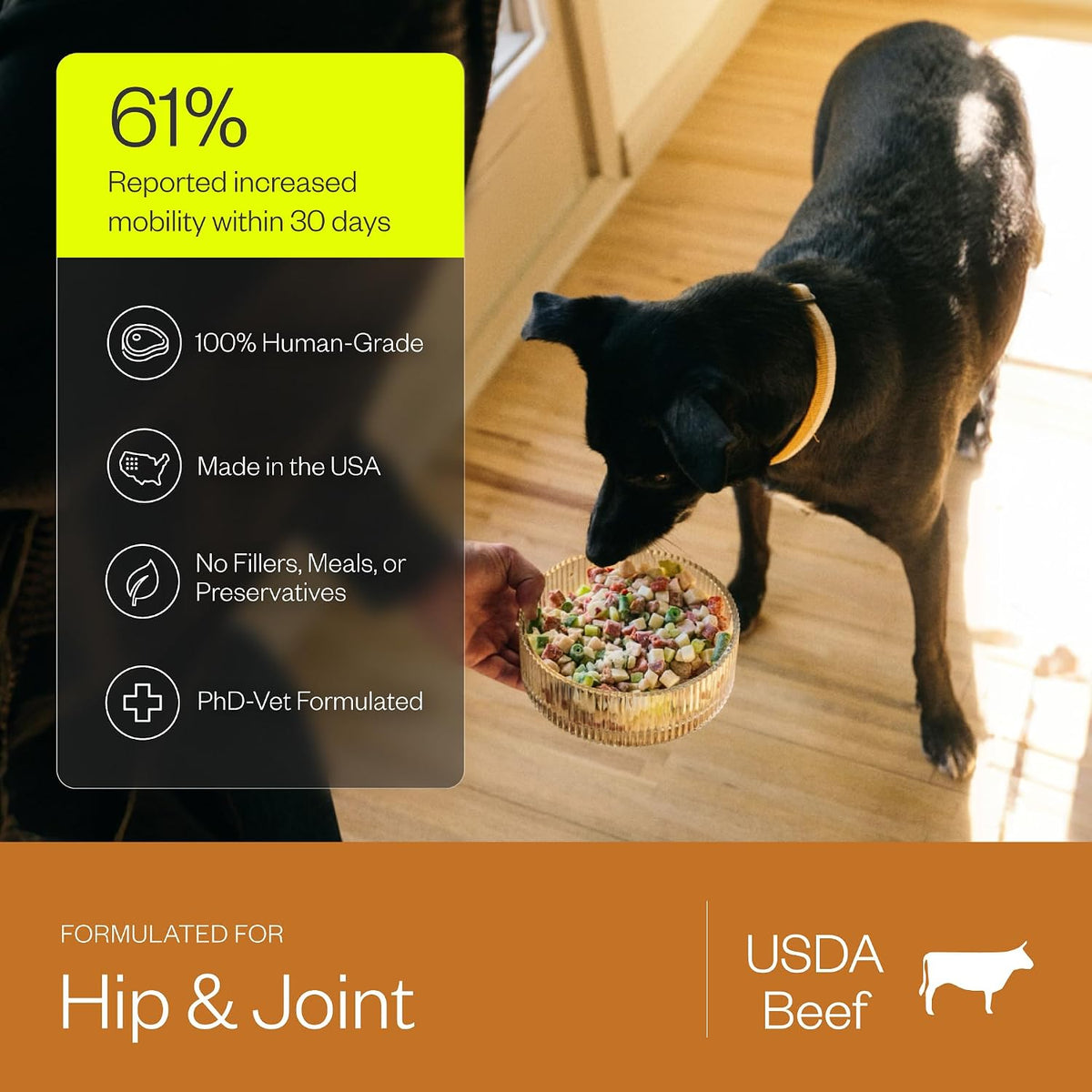 Maev Human-Grade Fresh-Frozen Beef Dog Food, Hip & Joint Formula | High-Protein, Grain-Free, Whole Ingredient Raw Food for Dogs | Complete & Balanced Meal or Topper | Made in USA | 5 lb - Image 4