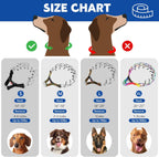 Professional Supet pinch collar for leash training