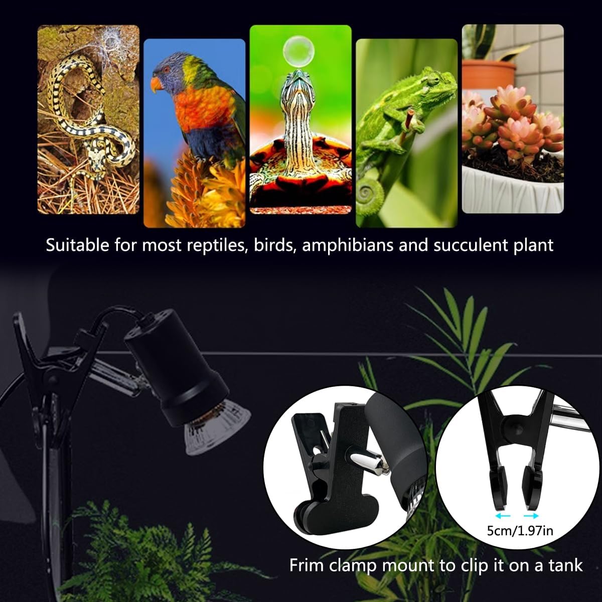 DOMICA full spectrum UVA UVB warming light attached to a reptile terrarium