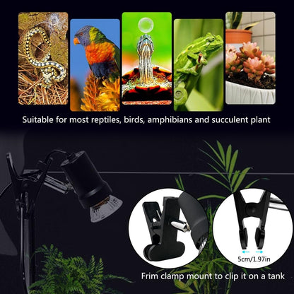 DOMICA full spectrum UVA UVB warming light attached to a reptile terrarium