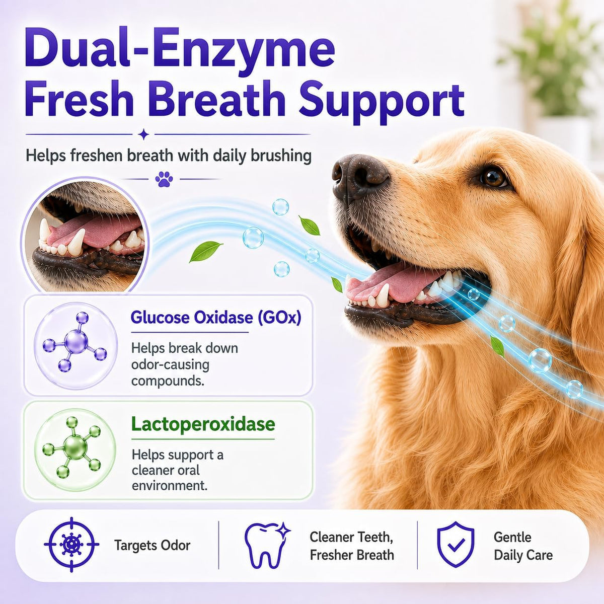 Mild coconut chicken flavor pet toothpaste for enamel protection