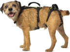 Help 'Em Up(R) - Dog Lift Harness Adjustable Lifting Harness for Dogs Full Body Support, Rear Leg Support (Conventional, Medium, 45-80 lbs) - Image 11