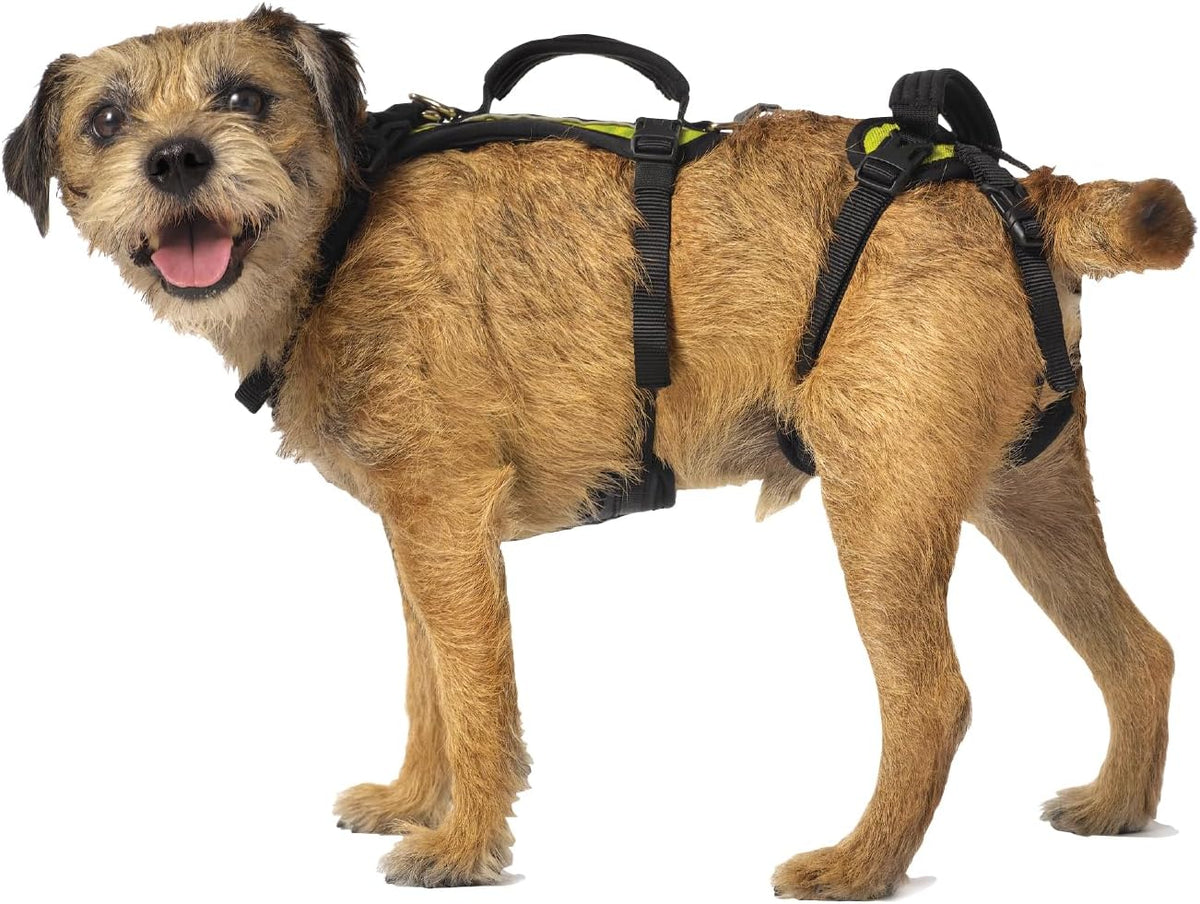 Help 'Em Up(R) - Dog Lift Harness Adjustable Lifting Harness for Dogs Full Body Support, Rear Leg Support (Conventional, Medium, 45-80 lbs) - Image 11