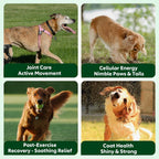 Side view of Nutridog canine longevity supplement bottle outlining detailed dosage instructions and benefits for aging dogs