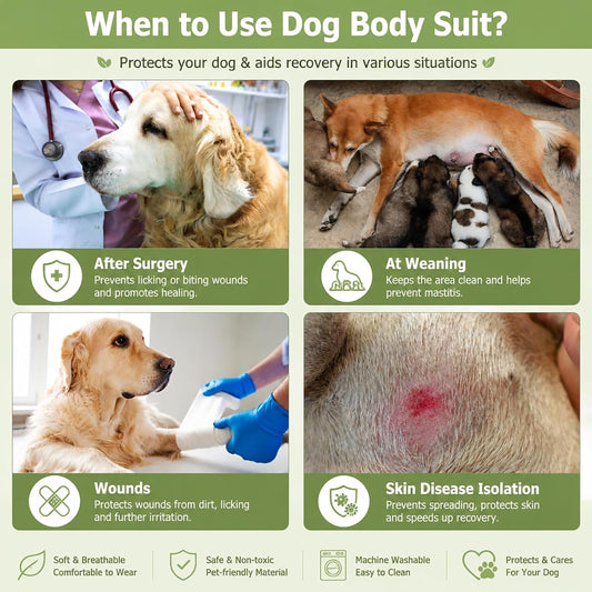 Quearn pet surgery shirt cotton abdominal wound protector side view