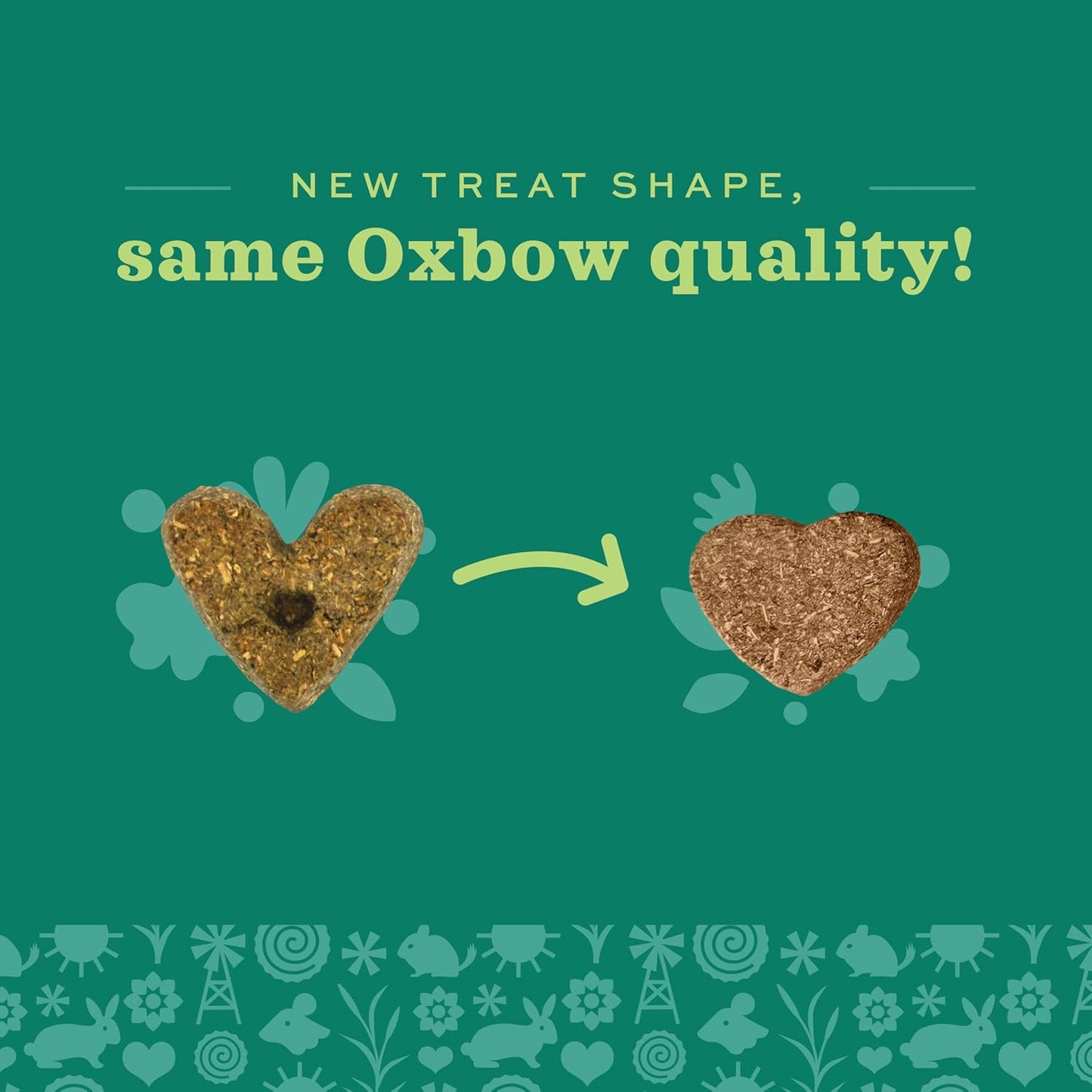 Natural small pet reward biscuits without added sugar