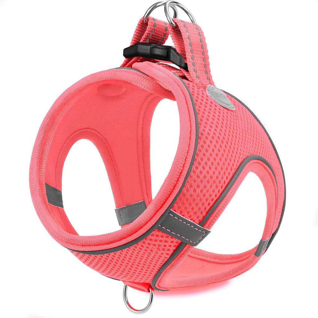 Joytale Small Dog Harness, Breathable Mesh Step-in Vest, Reflective Soft Padded Harnesses for Small and Medium Dogs, Black, M - Image 14
