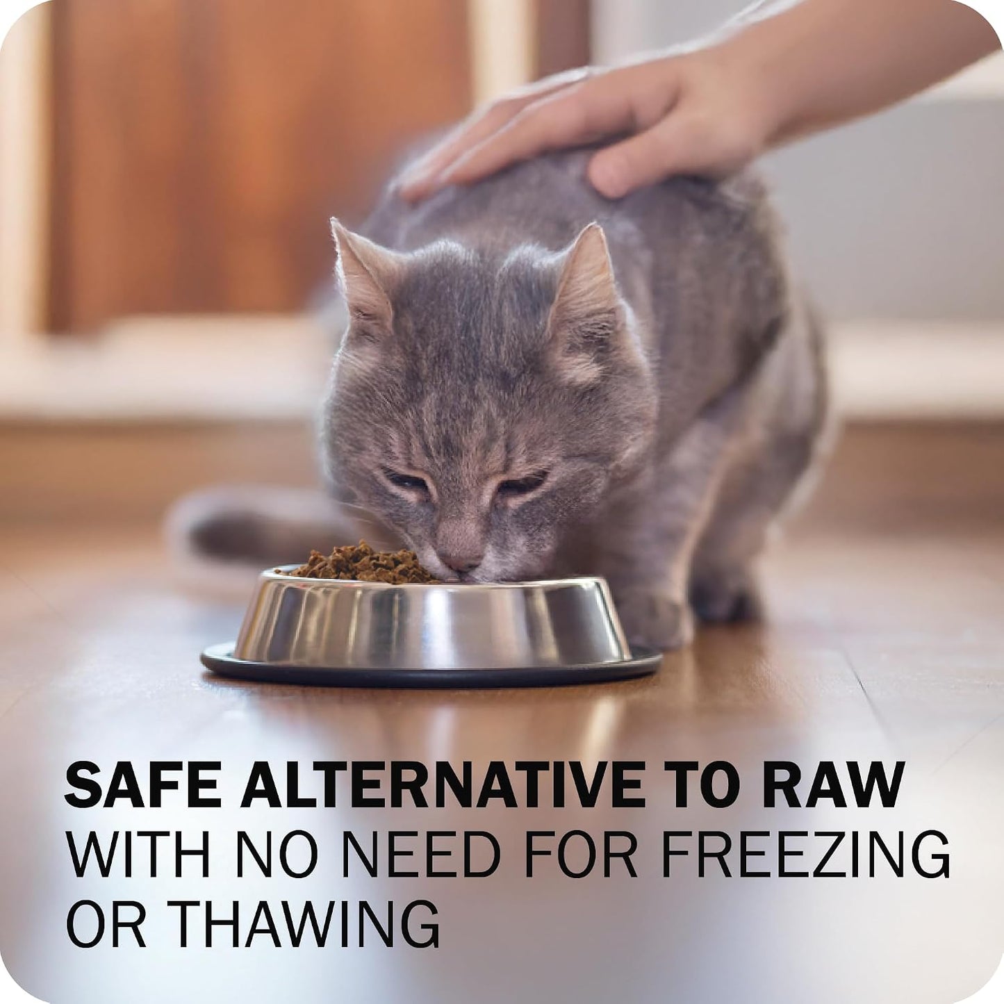Redbarn premium dry cat food for picky eaters