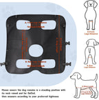 Dog Lift Harness with Pocket Full Body Dog Harness with Adjustable Handle Dog Carrying Sling Pet Legs Support Sling for Senior Dogs Joint Injuries Post Surgery Recovery Hiking,Black,XL - Image 7