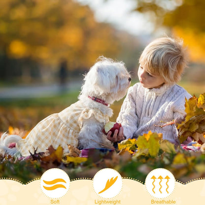 Premium imported Abbylike puppy dresses arranged to show five distinct styles.