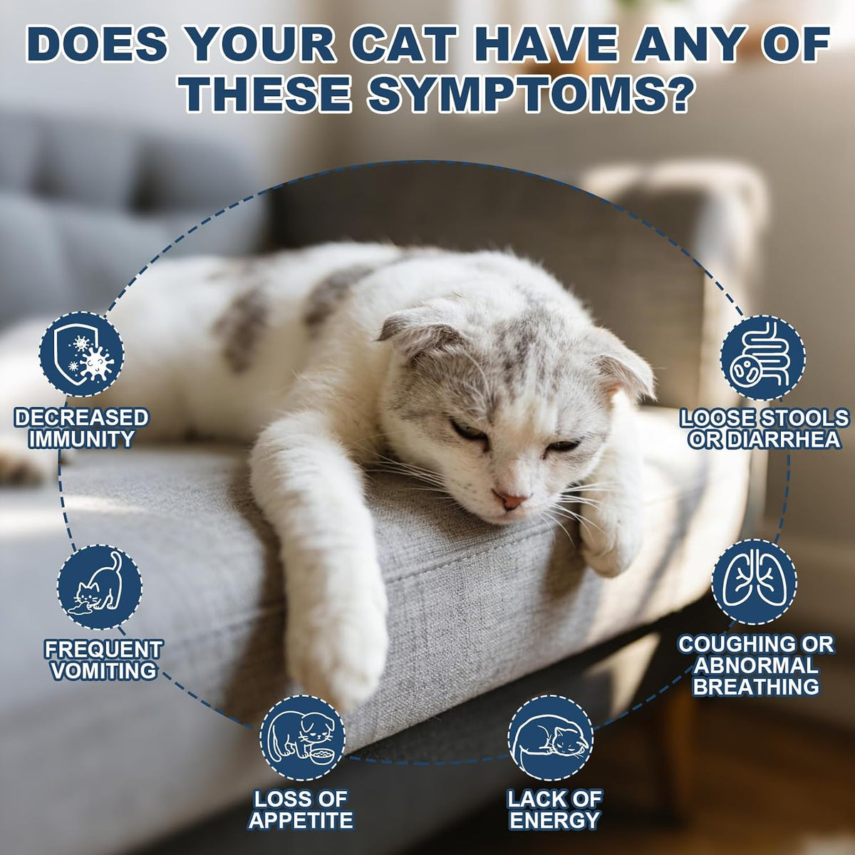 LuxeVib Dewomax digestive balance feline supplement with dosing syringe