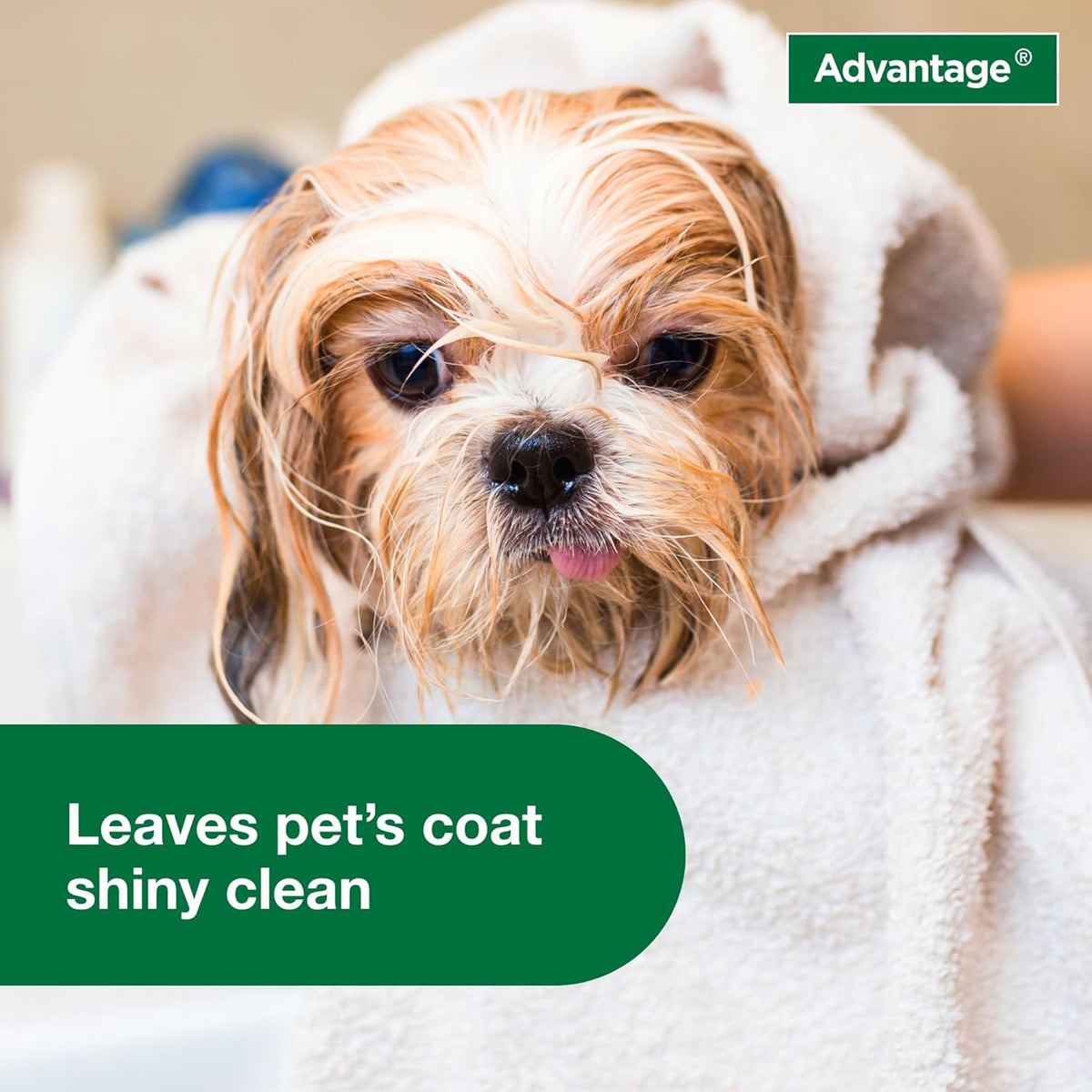 Advantage twenty four fluid ounce dog shampoo back label instructions