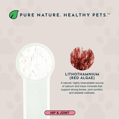 Small bowl of Animal Essentials Sea-Cal powder for pet nutrition