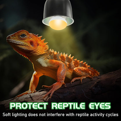 Lucky Herp 40W terrarium heat bulb providing daylight spectrum lighting for an exotic snake habitat