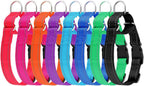 Vibrant hot pink PLUTUS PET escape proof dog collar laid flat showing adjustable loop