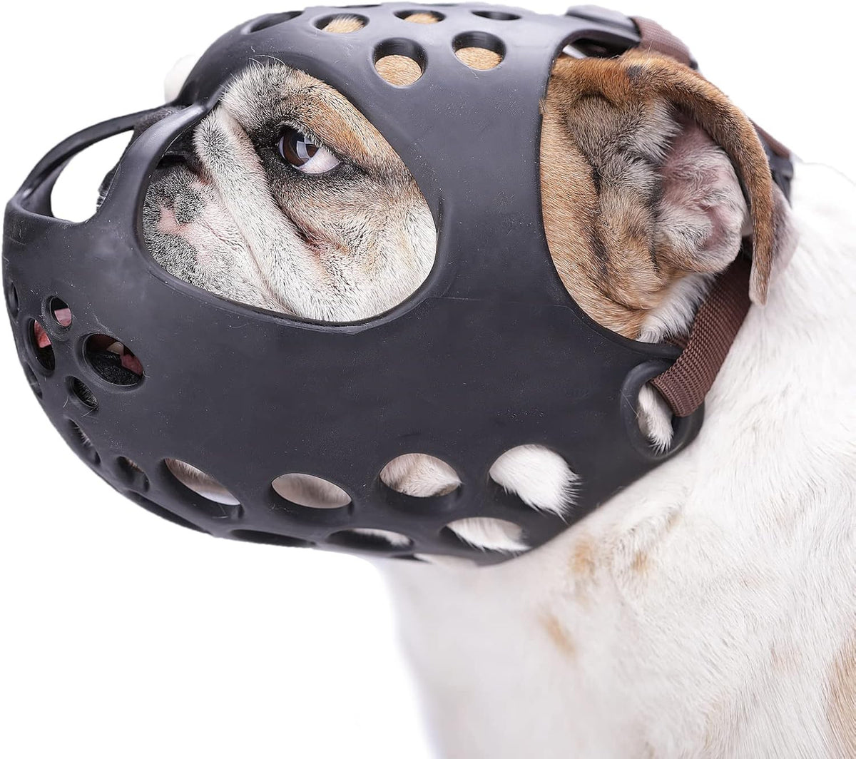 Barkless short snout dog muzzle front view on a French Bulldog showing breathable silicone basket structure
