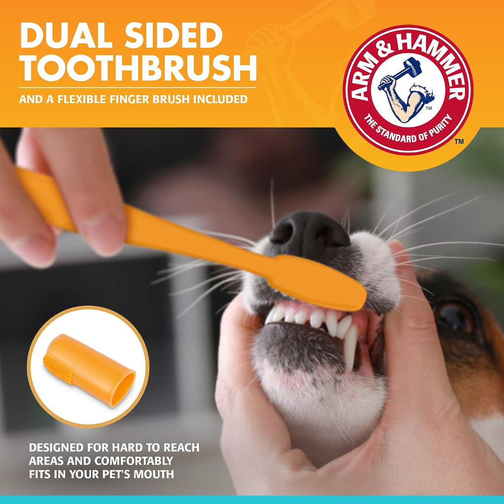 Double sided toothbrush included in the Arm and Hammer dog dental kit