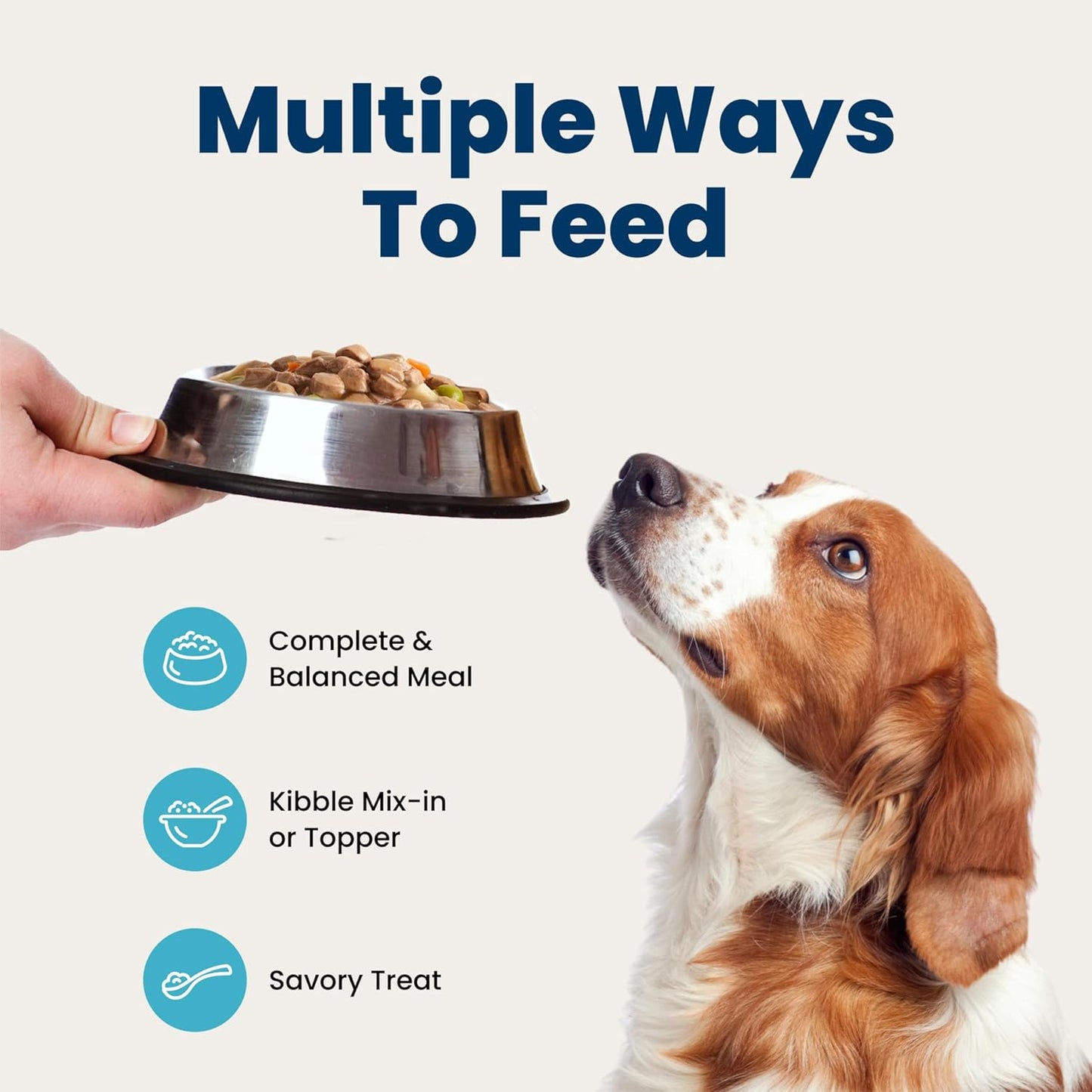 Blue Buffalo dog food variety pack showing three chicken and three beef cans.