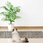 Pomeat cat deterrent mats arranged on garden soil