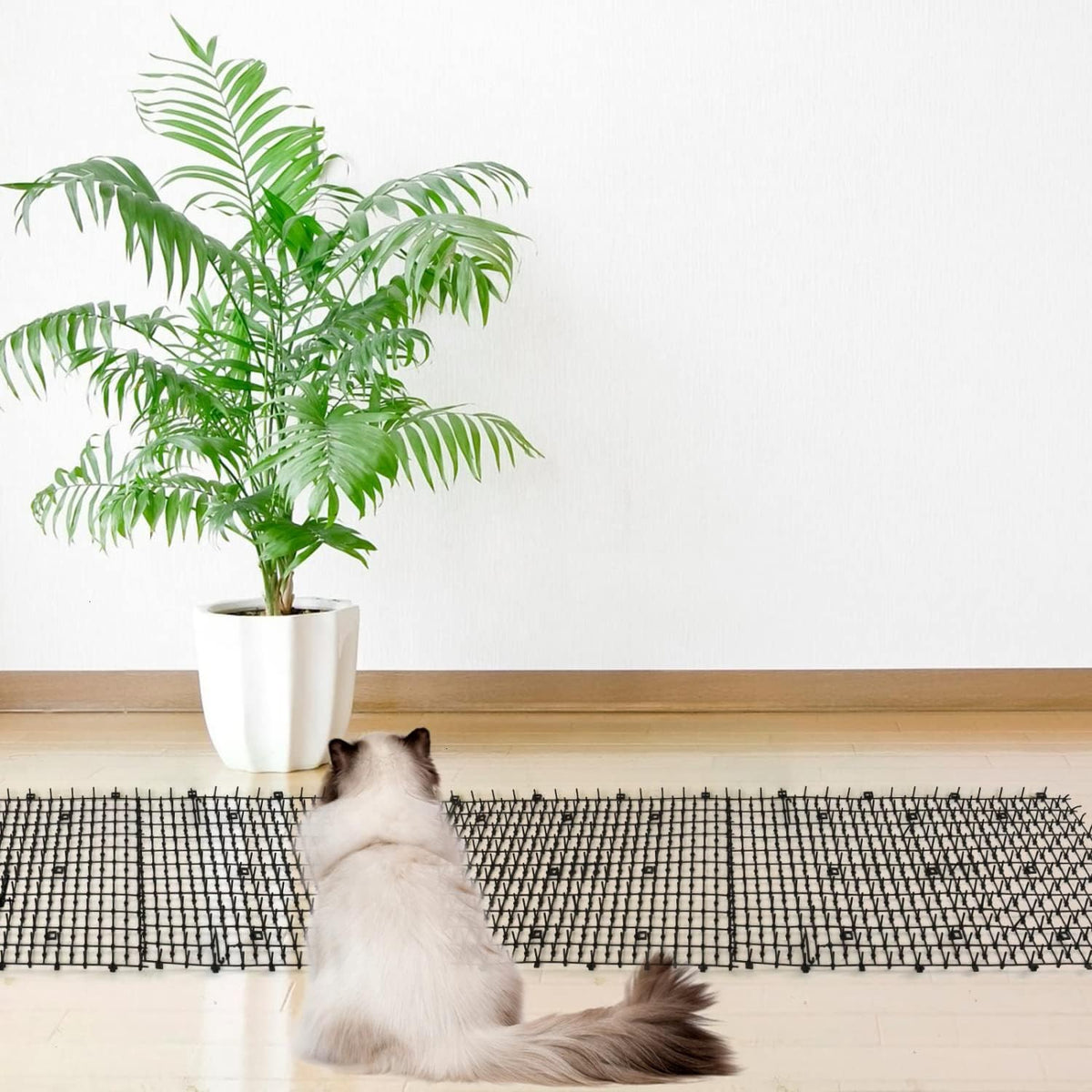 Pomeat cat deterrent mats arranged on garden soil