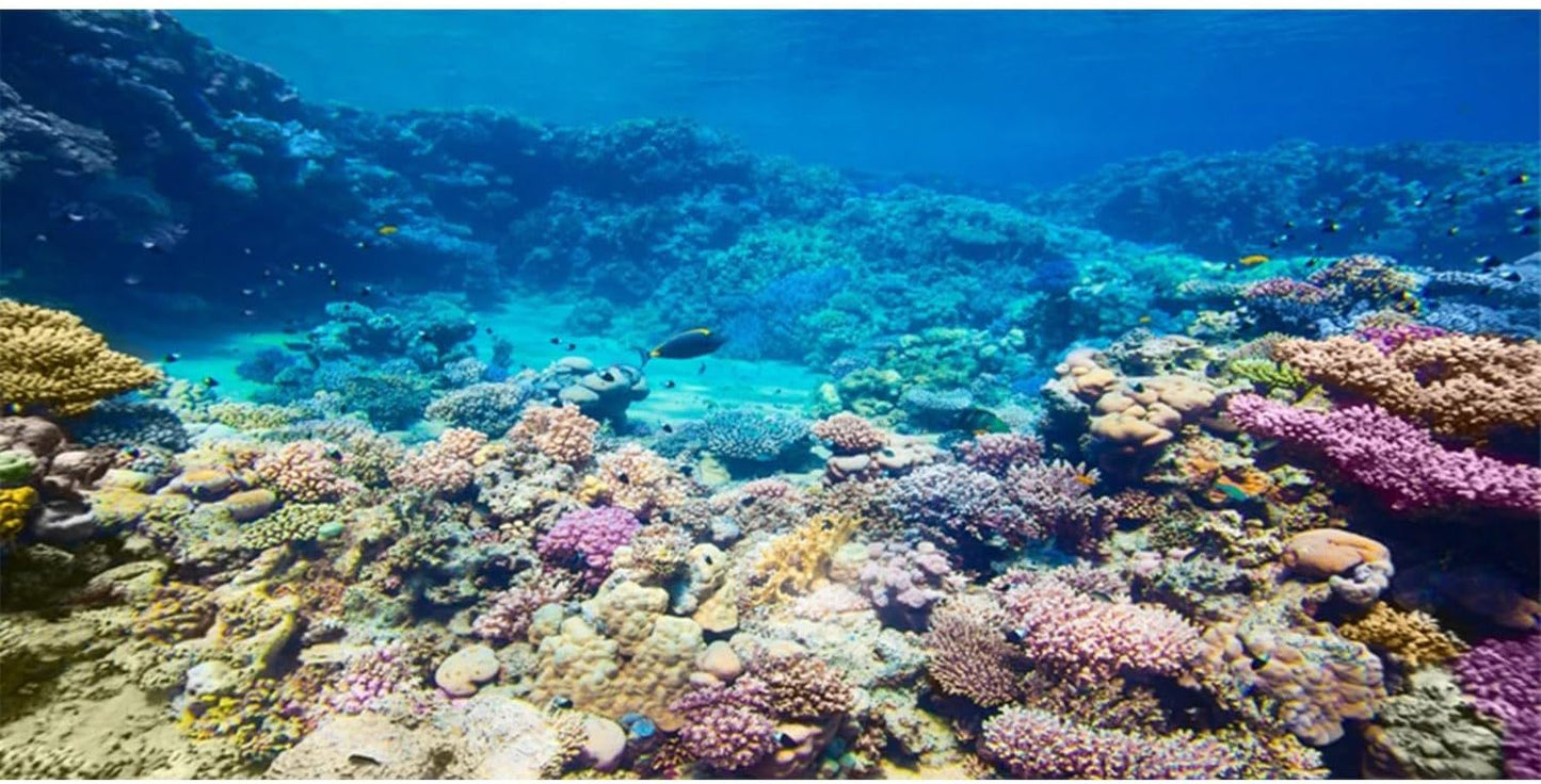 AWERT aquarium background coral reef scene front view for fish tank decoration.