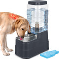 HWONMTE automatic dog water dispenser front view showing transparent eight litre reservoir tank