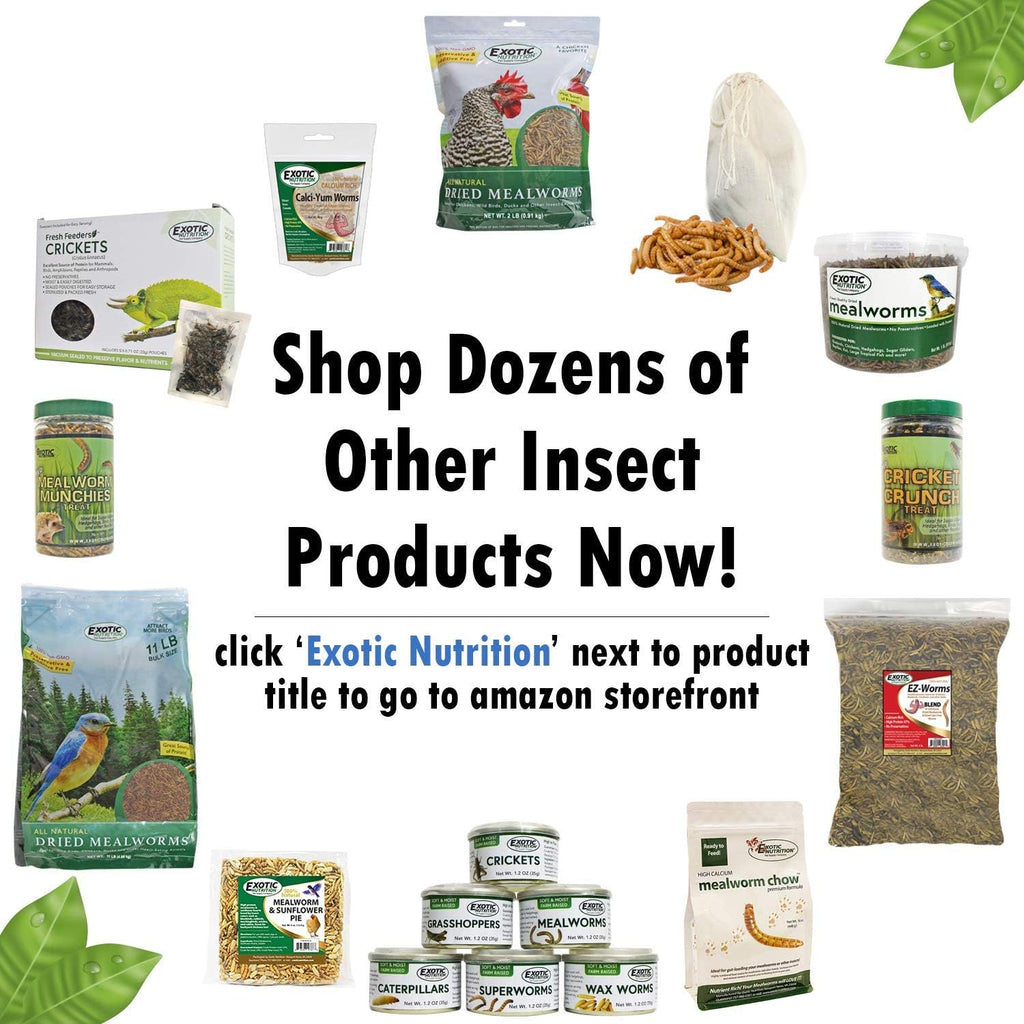 Exotic Nutrition Mealworm Munchies ingredients and feeding guide