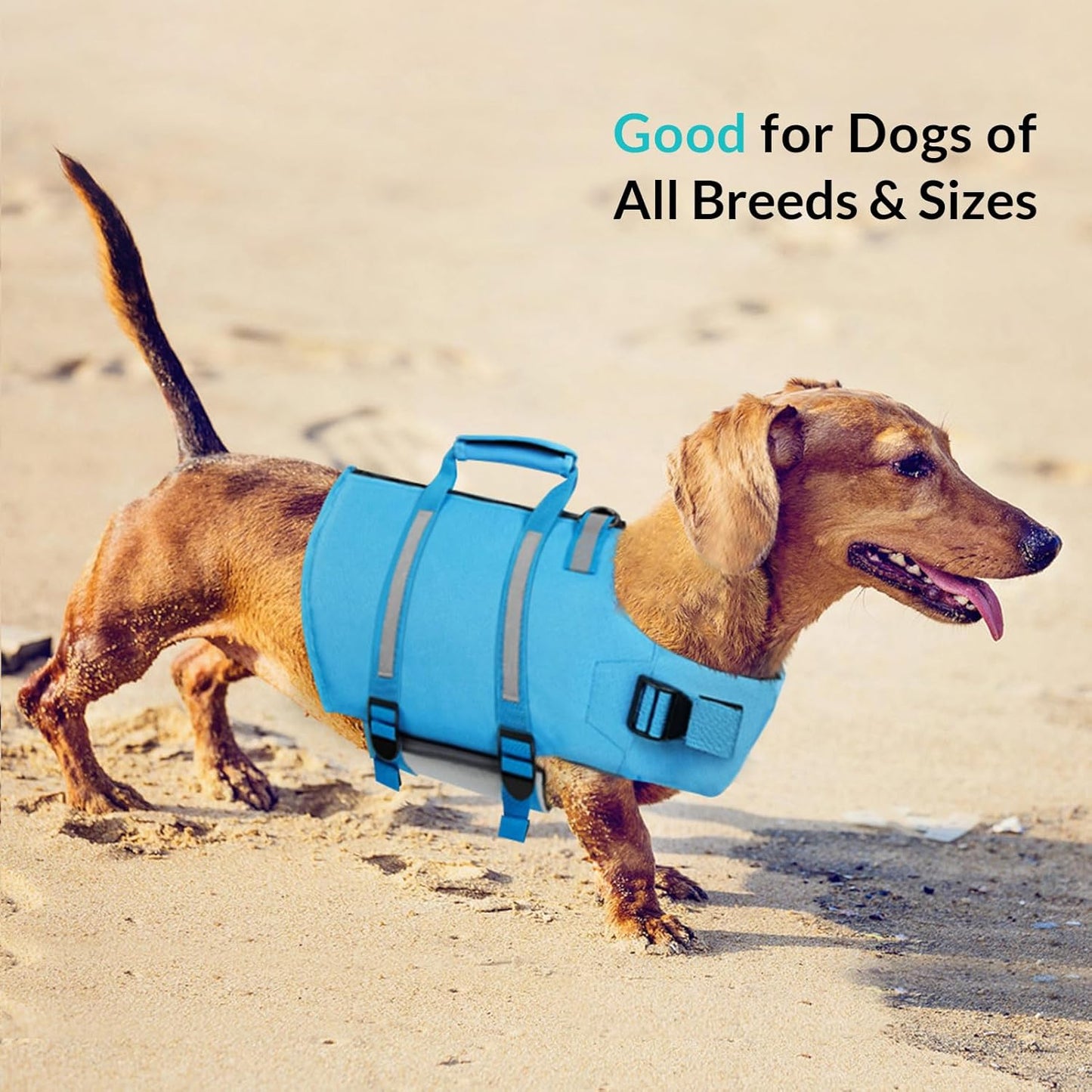 Queenmore premium large dog water vest packaged for imported delivery in India