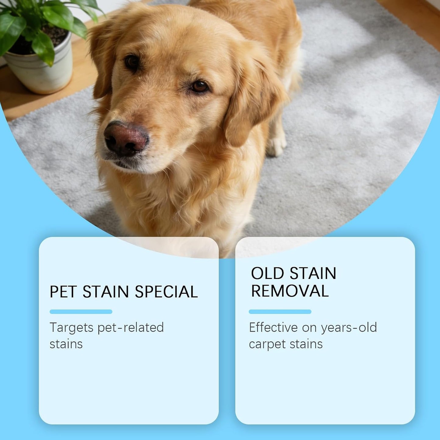 Close up of the back label instructions on the Resolve cat and dog urine remover.