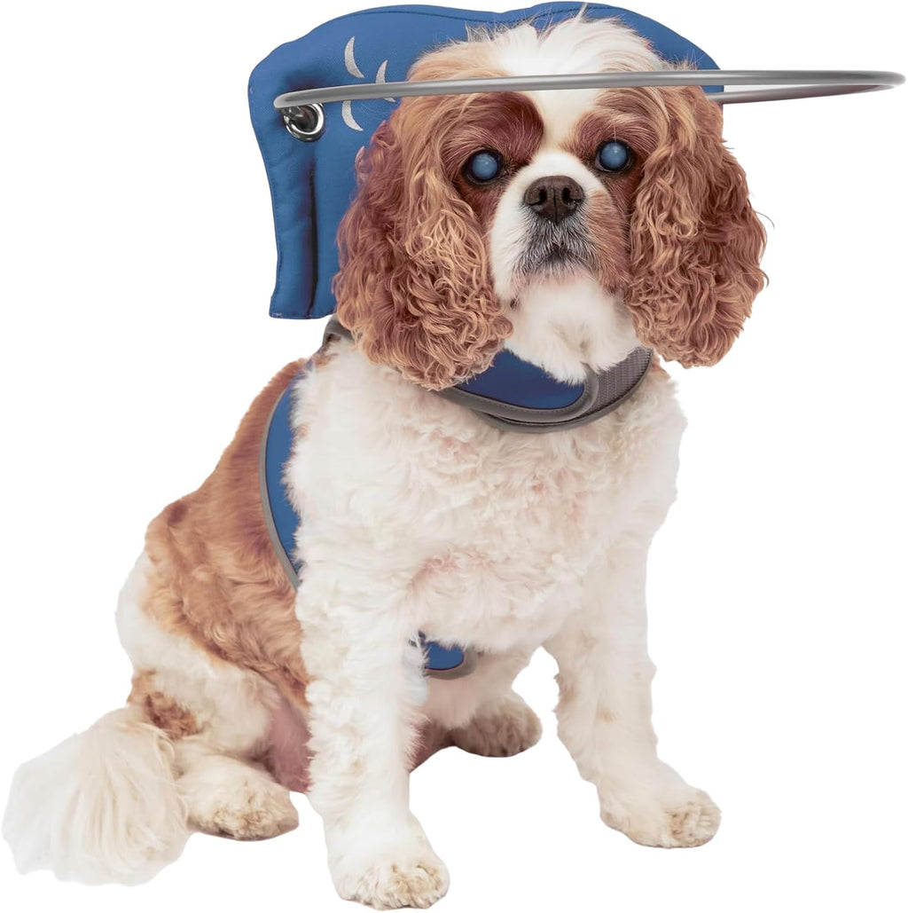 Muffin's Halo(R) - The Original Blind Dog Halo | Harness & Bumper Collar Accessory for Safe Navigation & Confidence - Blue, Size 5 - Image 15