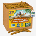 Birds LOVE natural sun-dried millet seed clusters closeup