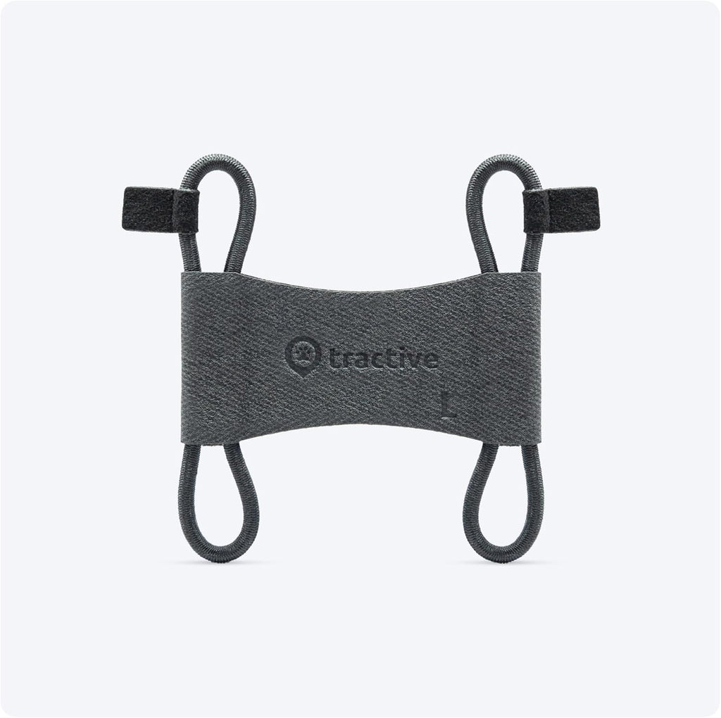 Tractive Fabric Clip Mount x2 for Tractive Dog 6 GPS Tracker front view