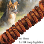 BTINESFUL rock climber nylon dog leash 360 degree swivel hook