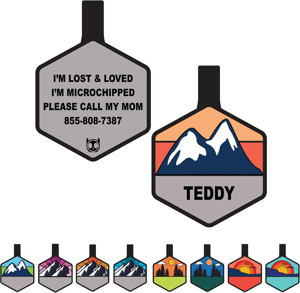 Imported USA premium custom pet ID tag showcased on a dog collar.