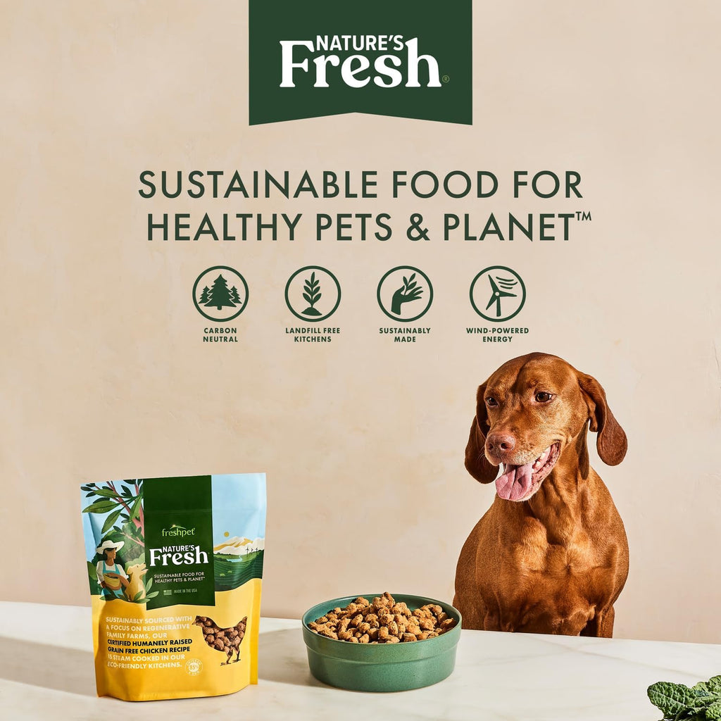 Close up of Freshpet natural chicken and vegetable dog food