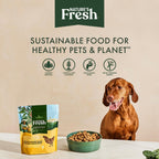 Close up of Freshpet natural chicken and vegetable dog food