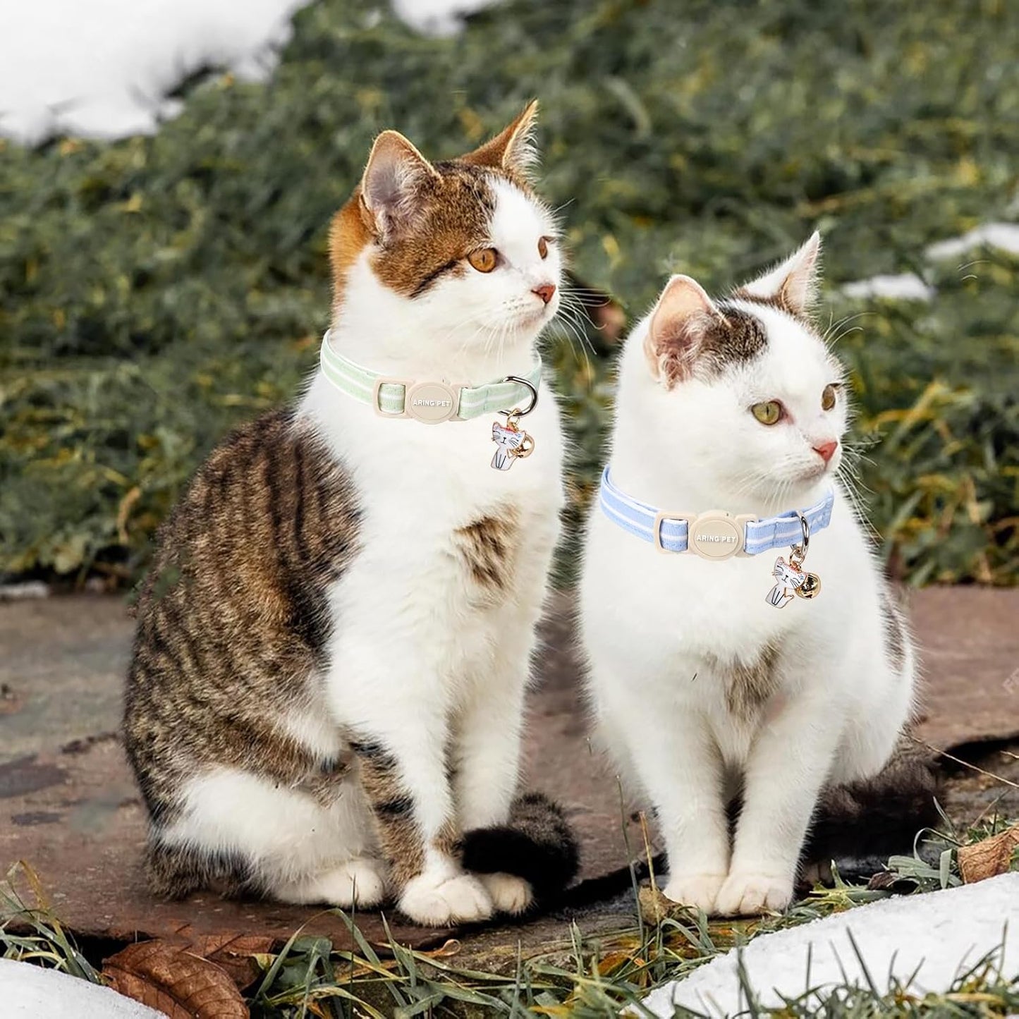 ARING PET cat collar breakaway buckle mechanism demonstration for pet security