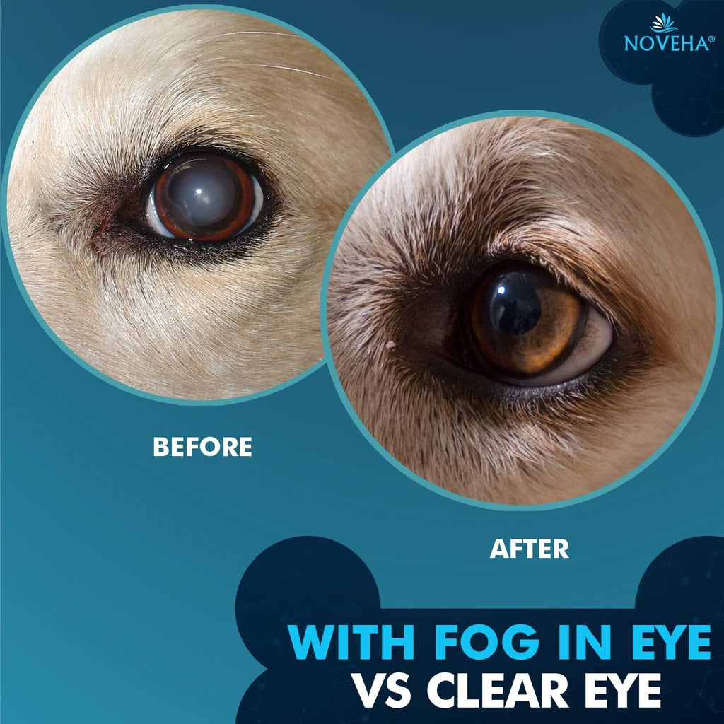 Refrigerated pet eye care drops from NOVEHA for animal cataract treatment