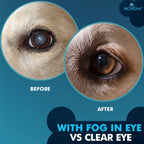Refrigerated pet eye care drops from NOVEHA for animal cataract treatment