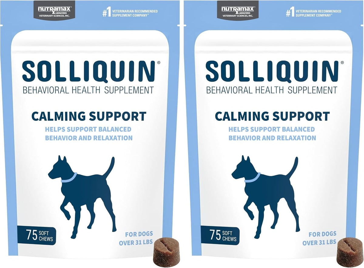 Nutramax Solliquin Calming Support for Dogs, Behavioral Health Supplement with L-Theanine, Magnolia/Phellodendron, and Whey Protein Concentrate, Soft Chews, 75 Count - Image 9