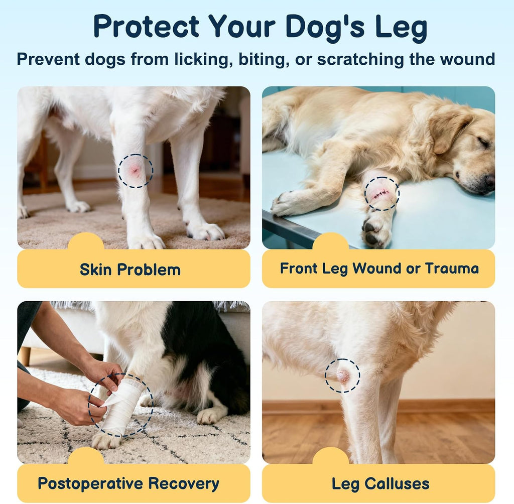 Barkless adjustable dog elbow brace protector chest strap close up post operative wear.