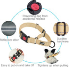 Haapaw reflective dog collar 2 pack showcasing the reflective piping for night walks