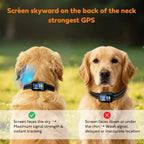 Complete Zigtiger wireless dog fence system kit including collar accessories and remote