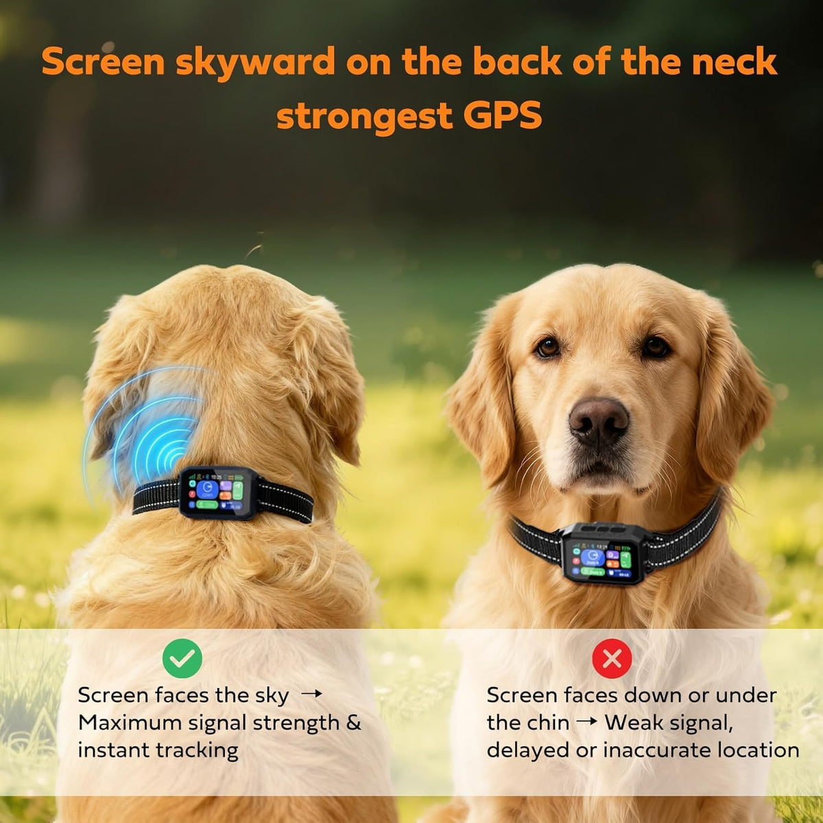 Complete Zigtiger wireless dog fence system kit including collar accessories and remote