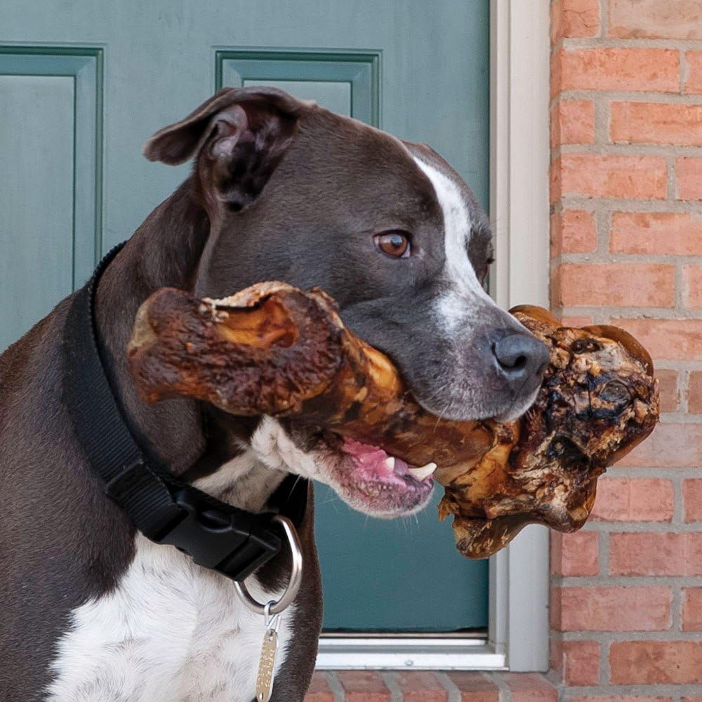 EcoKind digestible beef femur bone USDA certified dental care treat