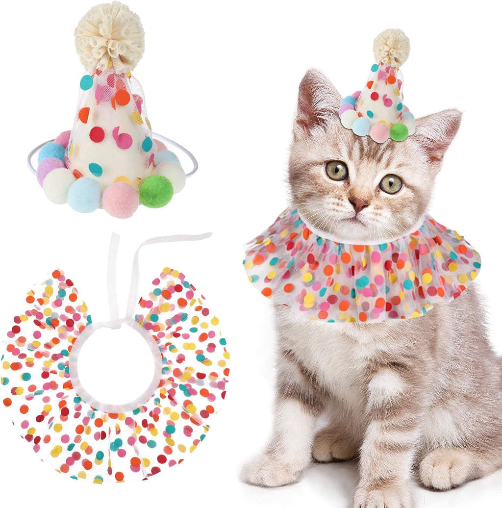Bruislard cat birthday outfit packaging details