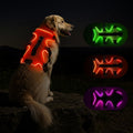 Fiveda LED dog harness front view orange