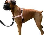 ShawnCo Dream Walk No-Pull Dog Harness- Adjustable, Comfortable, Easy to Use Pet Halter to Help Stop Pulling for Small, Medium and Large Dogs (Oceanic Blue, L) - Image 9