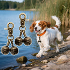 KITTAIL pet collar tracking bell showing the heavy duty rust resistant lobster clasp mechanism