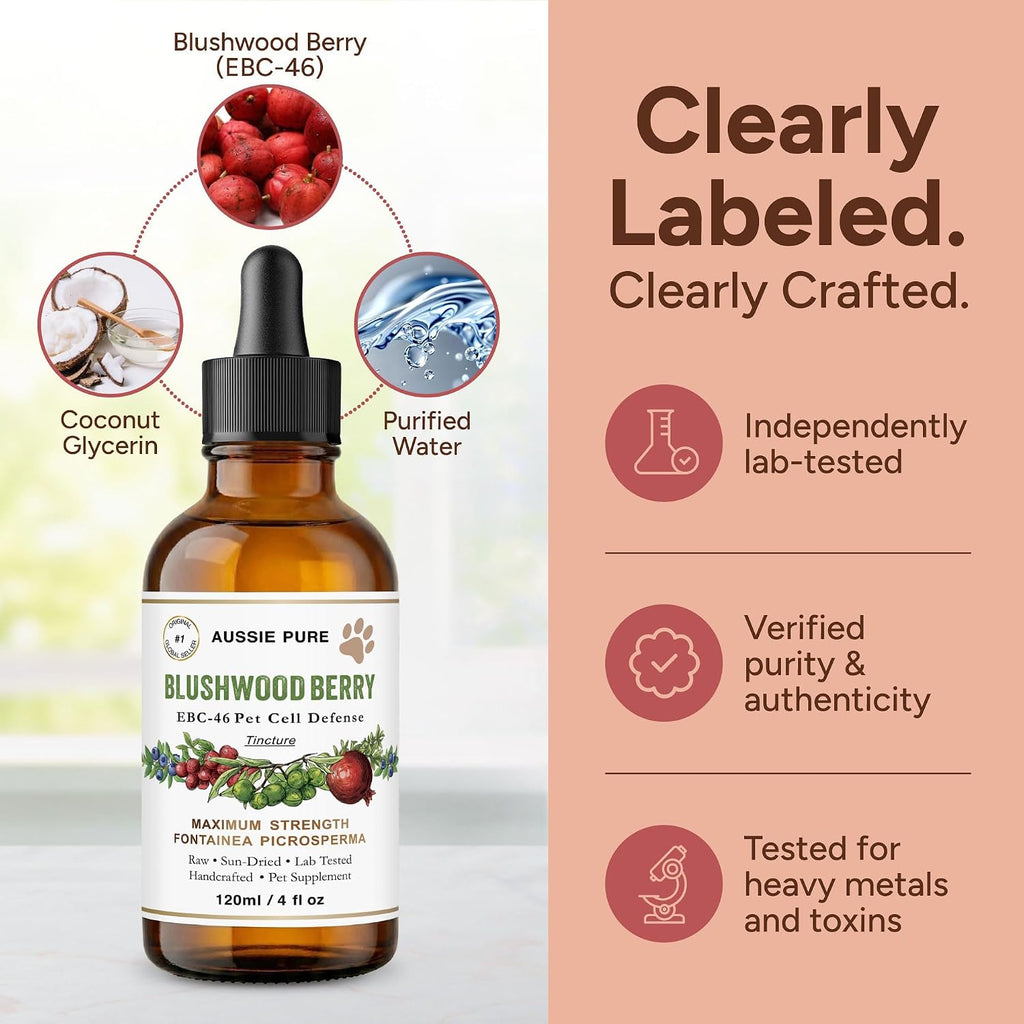 Topical application of Aussie Pure Blushwood Berry tincture
